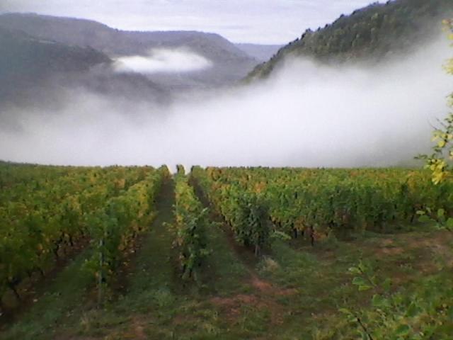 maison isolée dans les vignes et les bois Valady Exterior foto