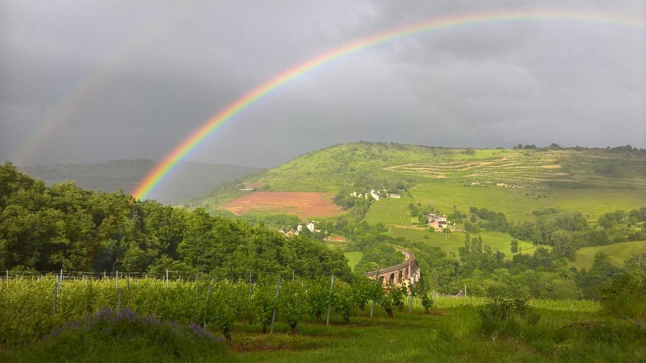 maison isolée dans les vignes et les bois Valady Exterior foto